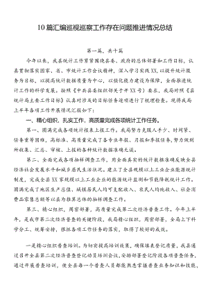 10篇汇编巡视巡察工作存在问题推进情况总结.docx
