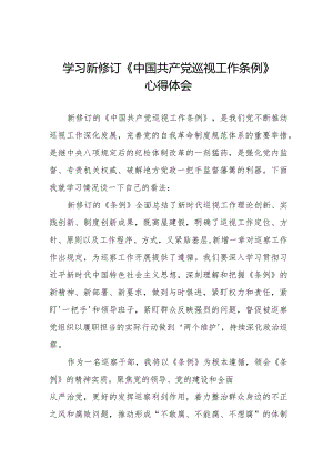 关于学习新修订中国共产党巡视工作条例2024版的心得体会7篇.docx