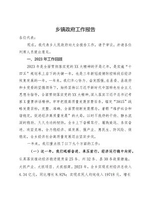 乡镇政府2024年度工作报告.docx