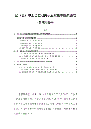区（县）总工会党组关于巡察集中整改进展情况的报告.docx
