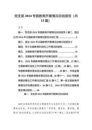 党支部专题教育开展情况总结报告（共13篇）.docx