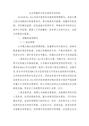 企业投融资及财务监管总结经验.docx