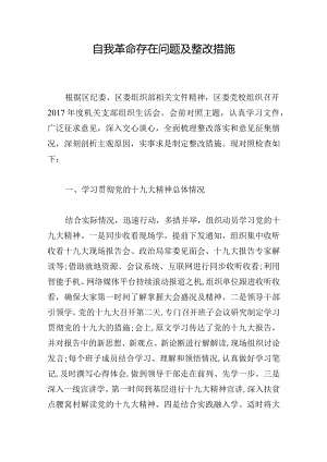 自我革命存在问题及整改措施.docx