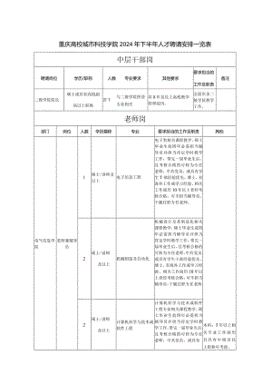 重庆大学城市科技学院2024年下半年人才招聘计划一览表.docx