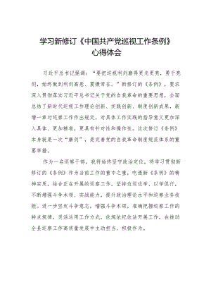 2024新修订中国共产党巡视工作条例》心得体会精品范文十四篇.docx