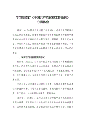 乡镇干部学习2024新修订《中国共产党巡视工作条例》心得体会7篇.docx