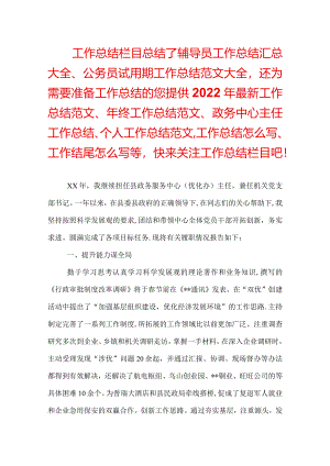 政务中心主任工作总结.docx