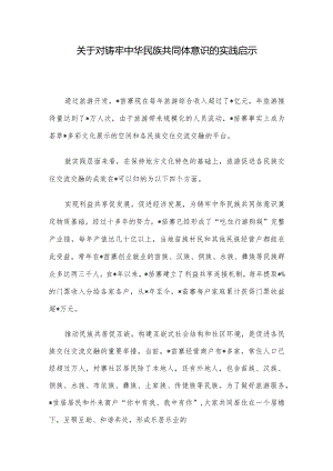 关于对铸牢中华民族共同体意识的实践启示.docx