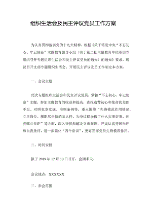 组织生活会及民主评议党员工作方案.docx