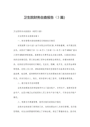卫生院财务自查报告（3篇）.docx