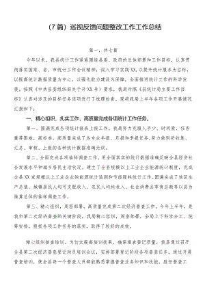 （7篇）巡视反馈问题整改工作工作总结.docx