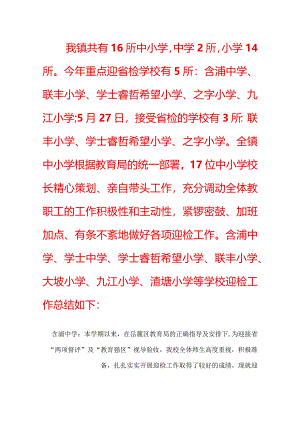 镇中小学两项督评迎省检工作总结.docx