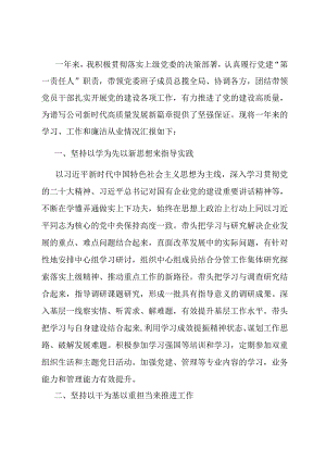 公司党委书记述学述职述廉报告.docx