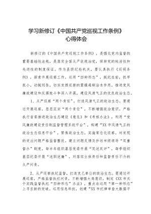 2024年纪检干部学习新修订《中国共产党巡视工作条例》心得体会7篇.docx