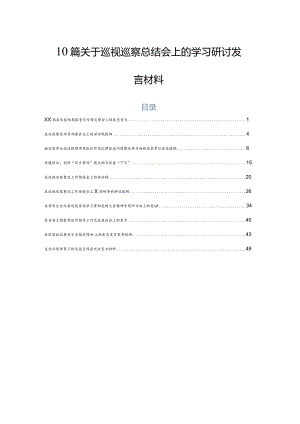 10篇关于巡视巡察总结会上的学习研讨发言材料.docx