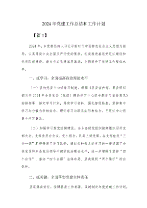2024年党建工作总结和工作计划.docx