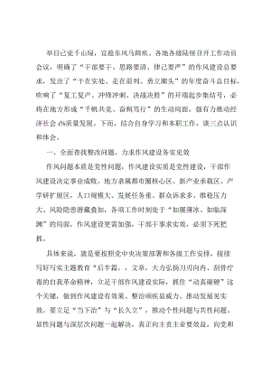 开展干部作风建设年活动心得体会.docx