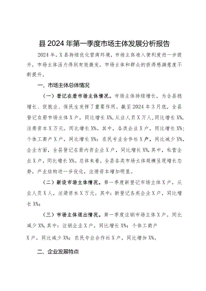 县2024年第一季度市场主体发展分析报告.docx