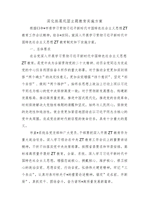 深化拓展巩固主题教育实施方案.docx