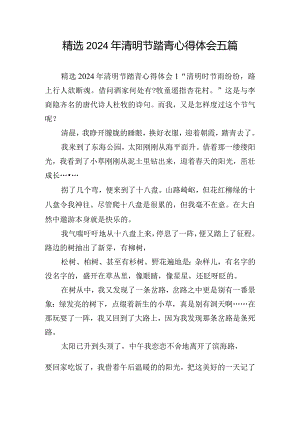 精选2024年清明节踏青心得体会五篇.docx