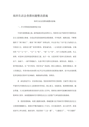 组织生活会查摆问题整改措施.docx