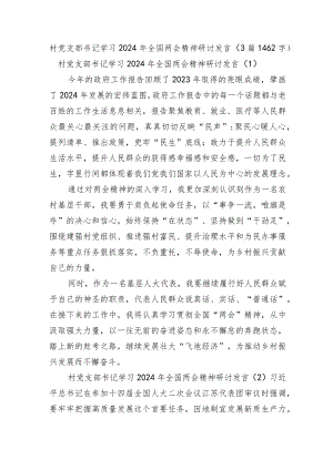村党支部书记学习2024年全国两会精神研讨发言3篇.docx