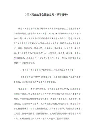 2023民主生活会整改方案（领导班子）.docx