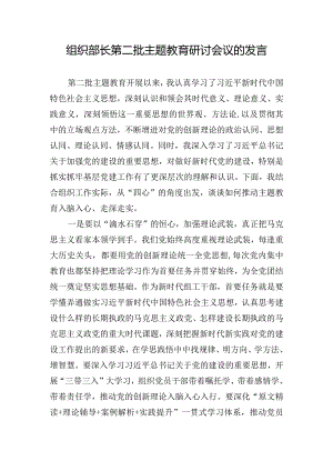 组织部长第二批主题教育研讨会议的发言.docx