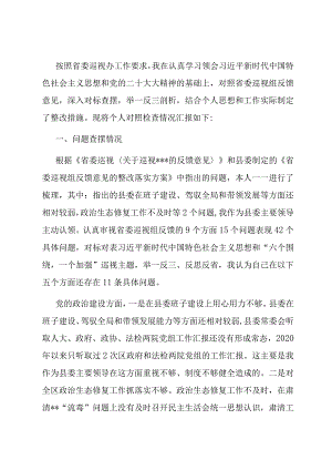巡视反馈意见整改落实专题民主生活会个人对照检查材料.docx