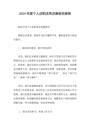 2024年度个人述职述责述廉报告集锦.docx