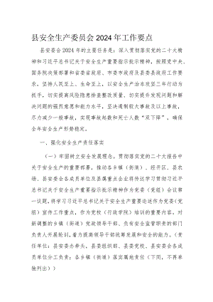 县安全生产委员会2024年工作要点.docx