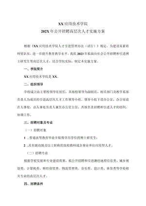XX应用技术学院202X年公开招聘高层次人才实施方案（2024年）.docx