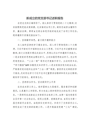 新成立的党支部书记述职报告1100字.docx