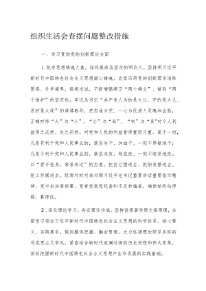 组织生活会查摆问题整改措施.docx