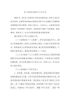 县人民医院2024年工作计划.docx