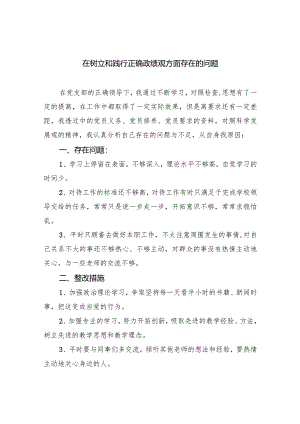 在树立和践行正确政绩观方面存在的问题（共9篇）.docx