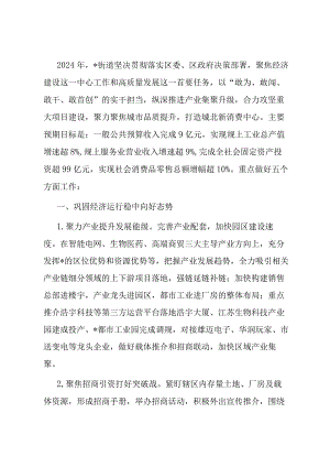 街道2024年工作要点.docx