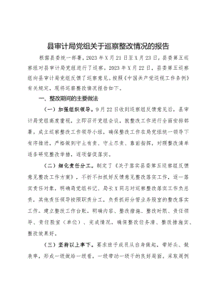 县审计局党组关于巡察整改情况的报告.docx