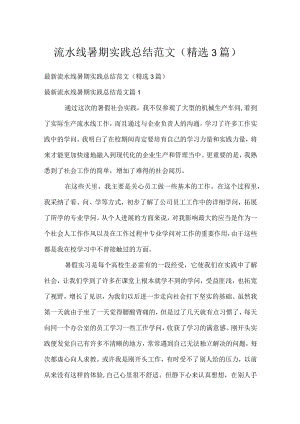 流水线暑期实践总结范文（精选3篇）.docx