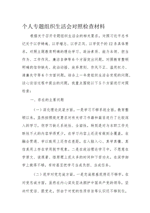 个人专题组织生活会对照检查材料.docx
