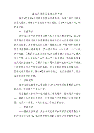 落实反馈意见整改工作方案.docx