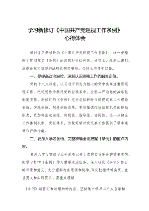 学习新修订《中国共产党巡视工作条例》感想体会7篇.docx