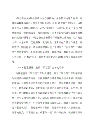 某局办公室创建青年文明号主要事迹.docx
