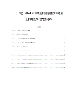 （十篇）2024年专项巡视巡察整改专题会上的专题研讨交流材料.docx