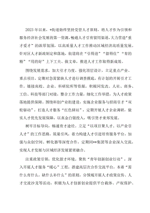 街道人才工作经验总结.docx