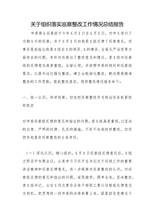 关于组织落实巡察整改工作情况总结报告.docx