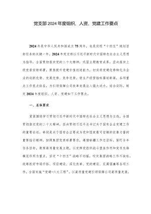 党支部2024年度组织、人资、党建工作要点.docx