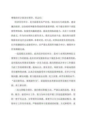 市水利局经济责任审计表态发言.docx