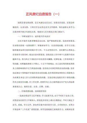 正风肃纪自查报告.docx