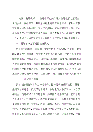 第二批主题教育专题民主生活会对照检查材料（副职领导）.docx